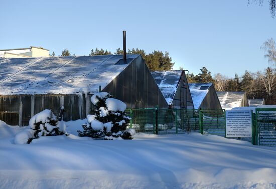 Greenhouses in the Central Siberian Botanical Garden of the Russian Academy of Sciences' Siberian Branch