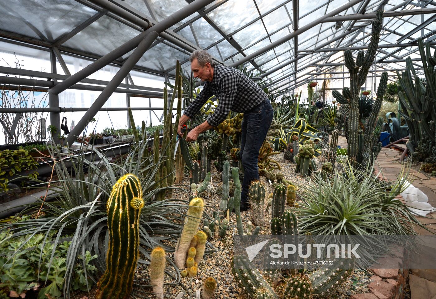 Greenhouses in the Central Siberian Botanical Garden of the Russian Academy of Sciences' Siberian Branch