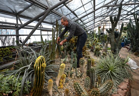 Greenhouses in the Central Siberian Botanical Garden of the Russian Academy of Sciences' Siberian Branch