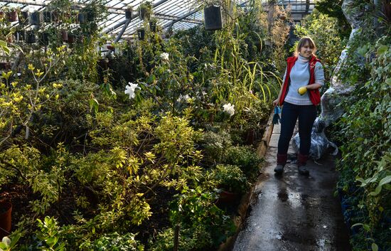 Greenhouses of the Central Siberian Botanical Garden of the Russian Academy of Sciences, Siberian branch