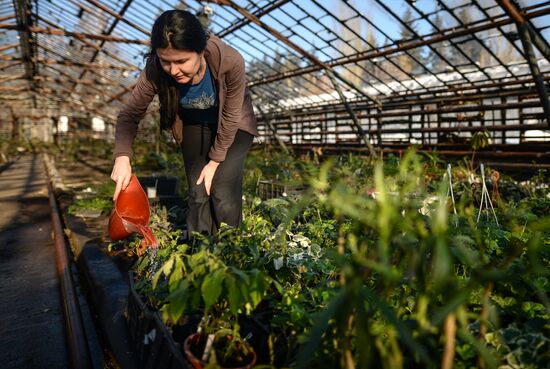 Greenhouses of the Central Siberian Botanical Garden of the Russian Academy of Sciences, Siberian branch