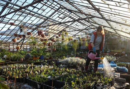 Greenhouses of the Central Siberian Botanical Garden of the Russian Academy of Sciences, Siberian branch