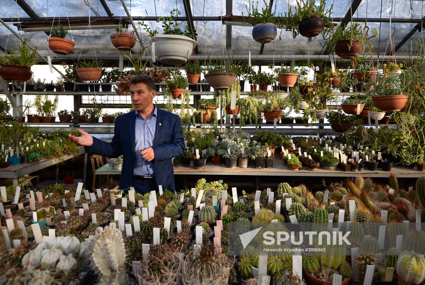 Greenhouses in the Central Siberian Botanical Garden of the Russian Academy of Sciences' Siberian Branch