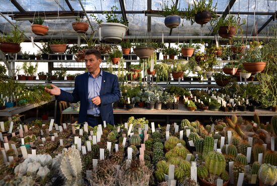 Greenhouses in the Central Siberian Botanical Garden of the Russian Academy of Sciences' Siberian Branch