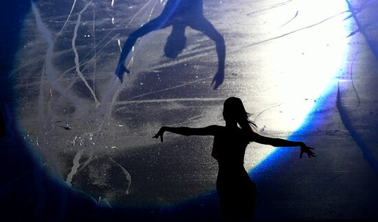European Figure Skating Championship. Exhibition performances