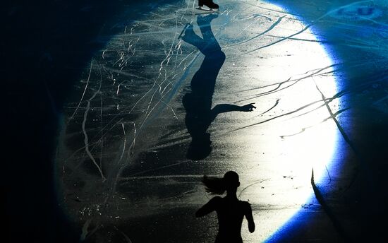 European Figure Skating Championship. Exhibition performances