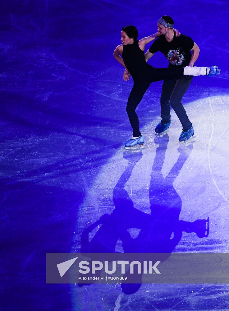 European Figure Skating Championship. Exhibition performances