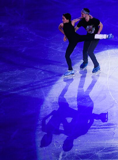 European Figure Skating Championship. Exhibition performances