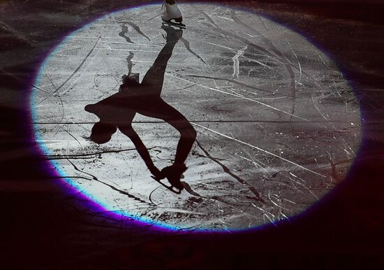 European Figure Skating Championship. Exhibition performances
