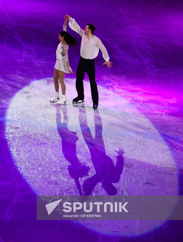 European Figure Skating Championship. Exhibition performances