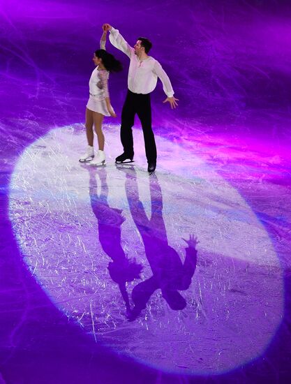 European Figure Skating Championship. Exhibition performances