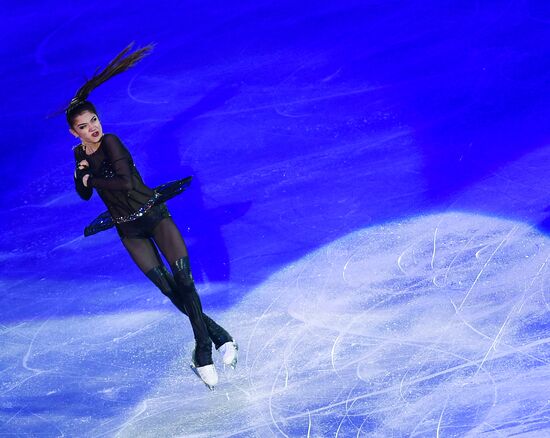 European Figure Skating Championship. Exhibition performances