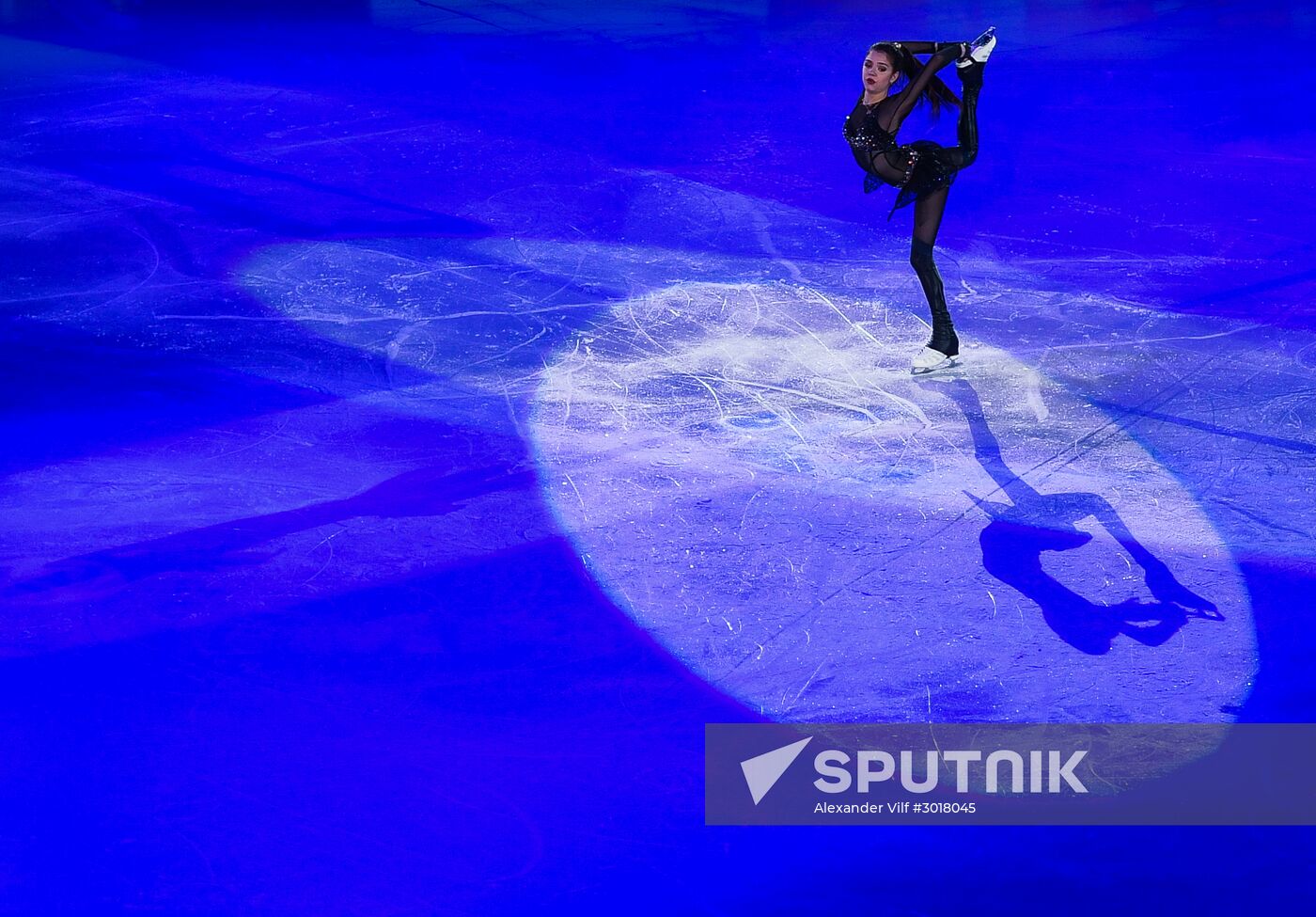 European Figure Skating Championship. Exhibition performances