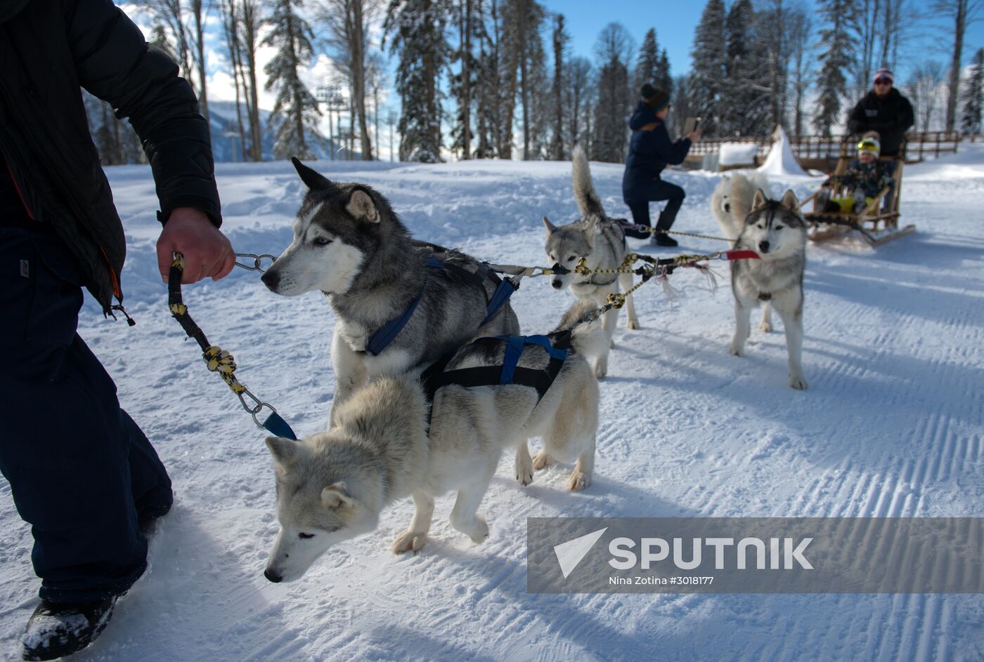 Mountain ski resorts in Sochi