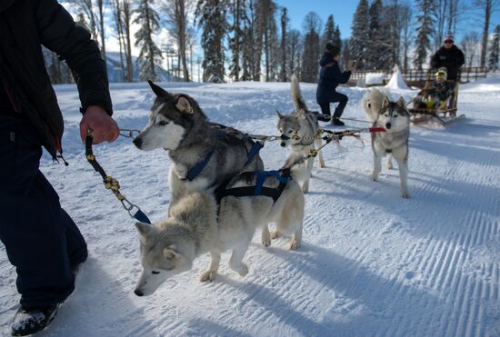 Mountain ski resorts in Sochi