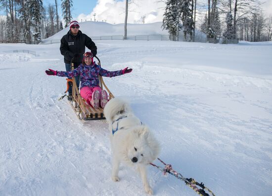 Mountain ski resorts in Sochi
