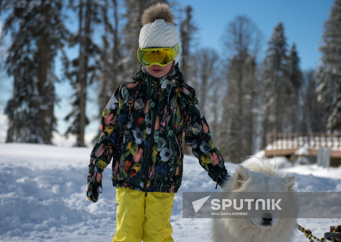 Mountain ski resorts in Sochi