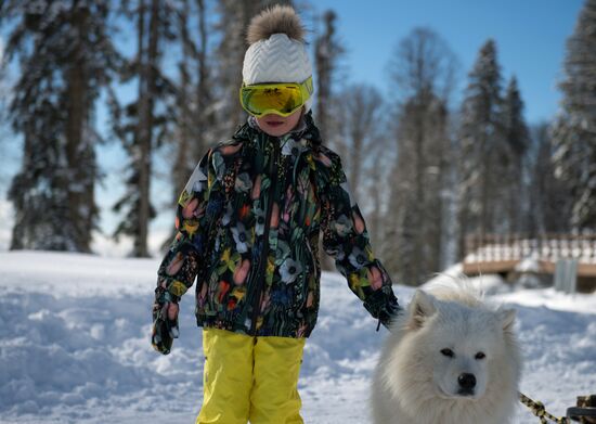Mountain ski resorts in Sochi