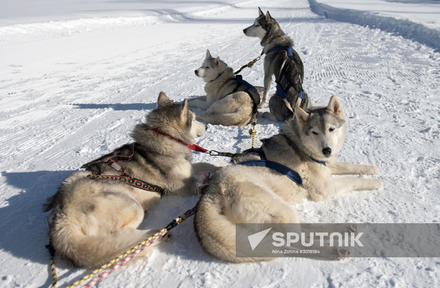 Mountain ski resorts in Sochi