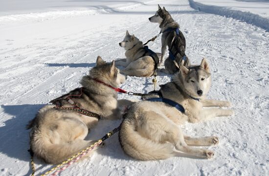 Mountain ski resorts in Sochi