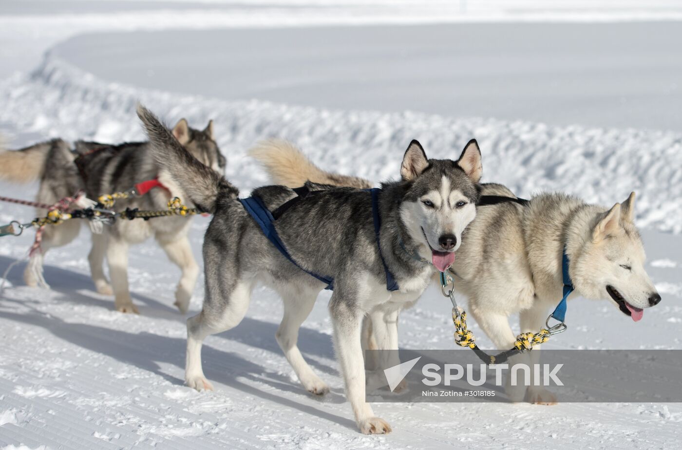 Mountain ski resorts in Sochi