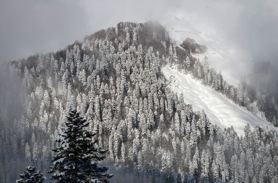 Mountain ski resorts in Sochi