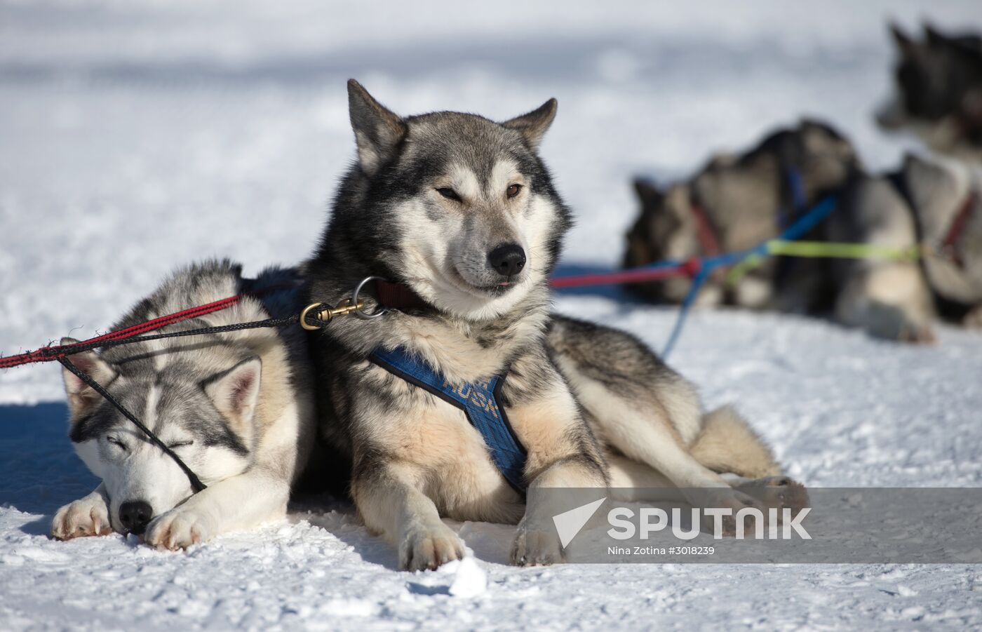 Mountain ski resorts in Sochi