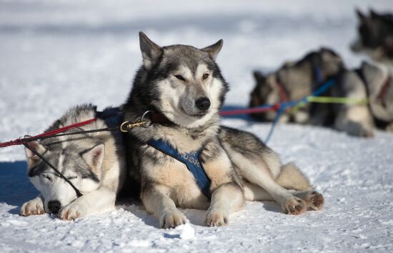 Mountain ski resorts in Sochi