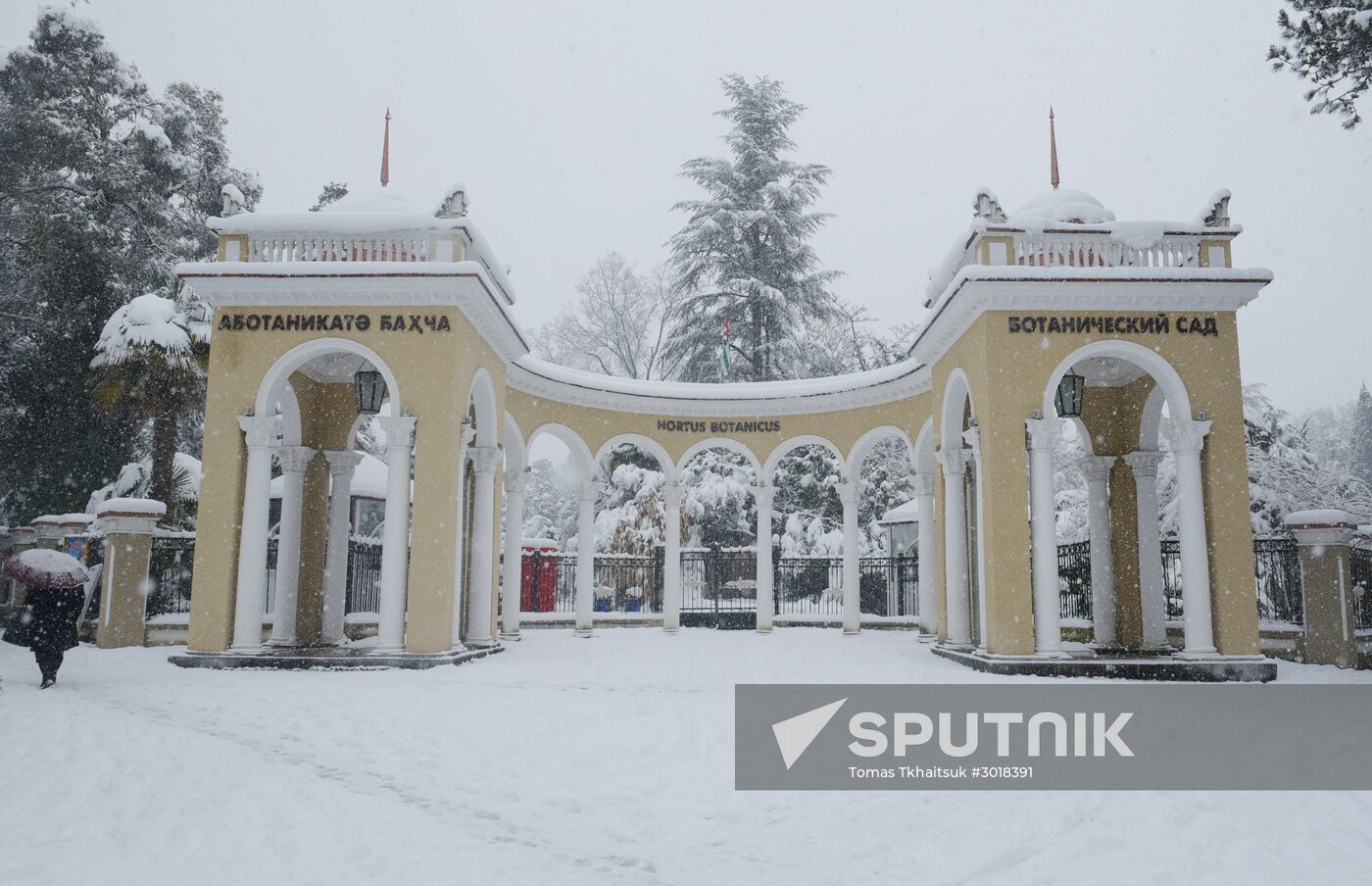 Winter in Abkhazia