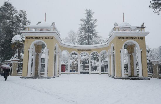 Winter in Abkhazia