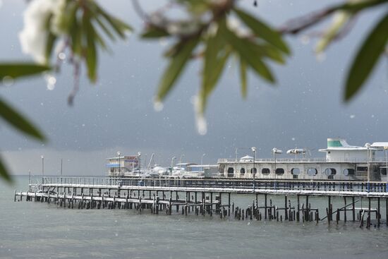 Winter in Abkhazia