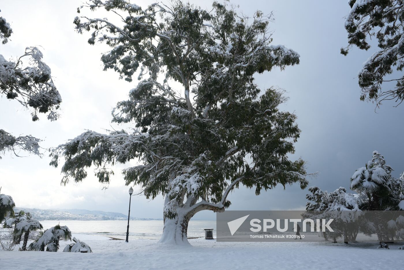 Winter in Abkhazia