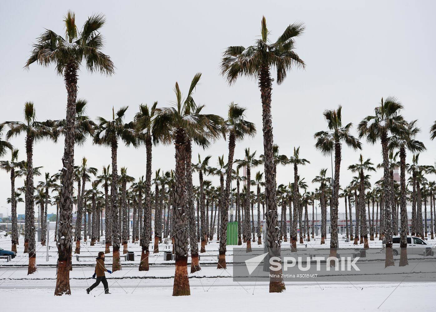 Snowstorm in Sochi