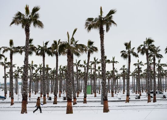 Snowstorm in Sochi