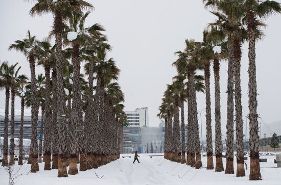 Snowstorm in Sochi