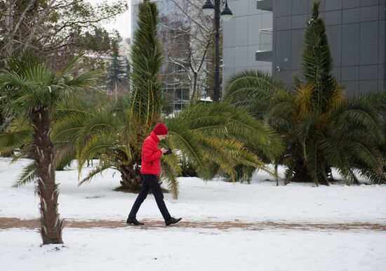 Snowstorm in Sochi