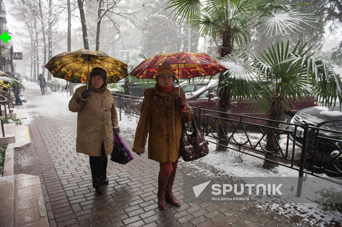 Snowstorm in Sochi