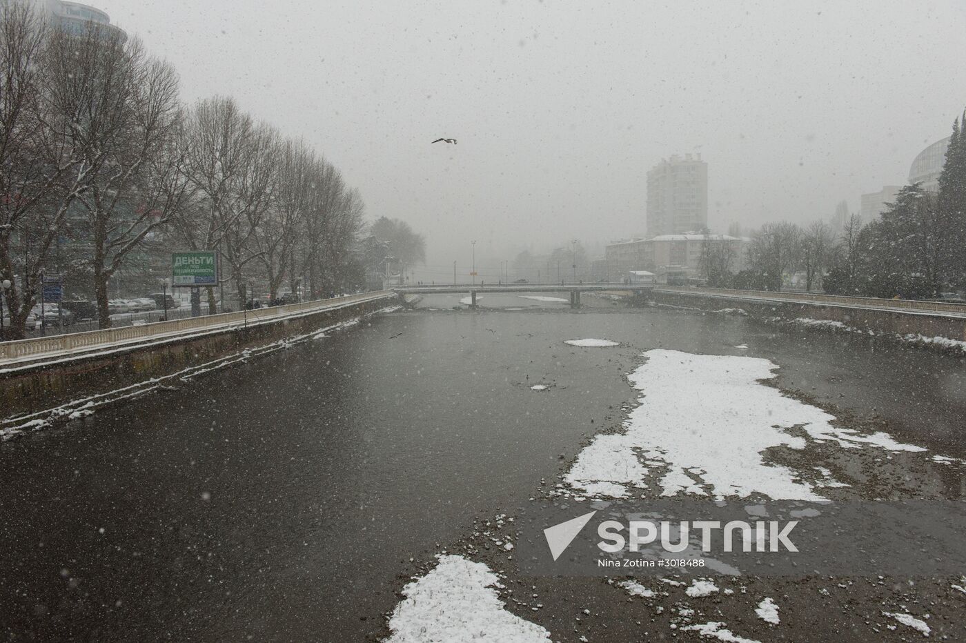 Snowstorm in Sochi