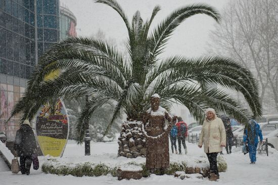 Snowstorm in Sochi