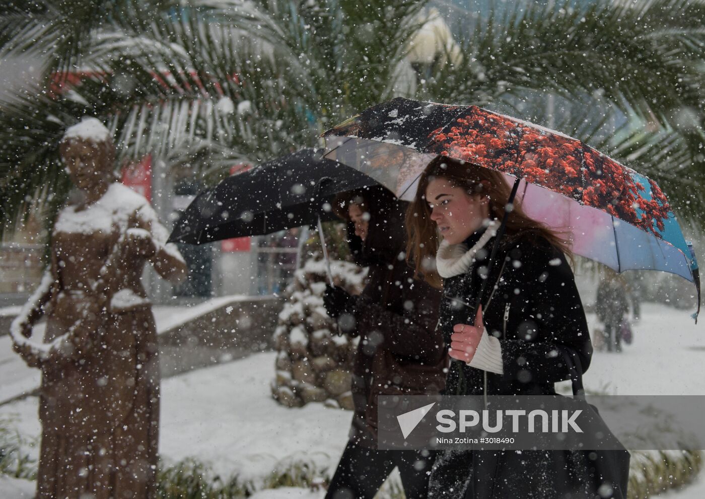 Snowstorm in Sochi