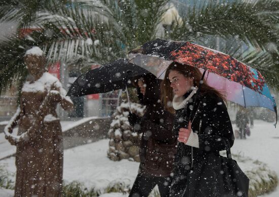 Snowstorm in Sochi