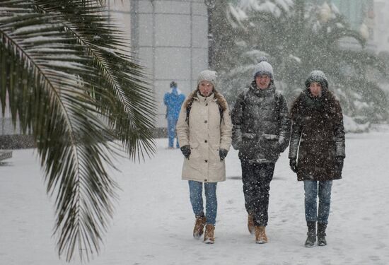 Snowstorm in Sochi
