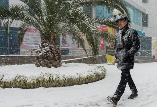 Snowstorm in Sochi