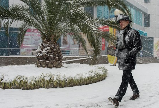 Snowstorm in Sochi