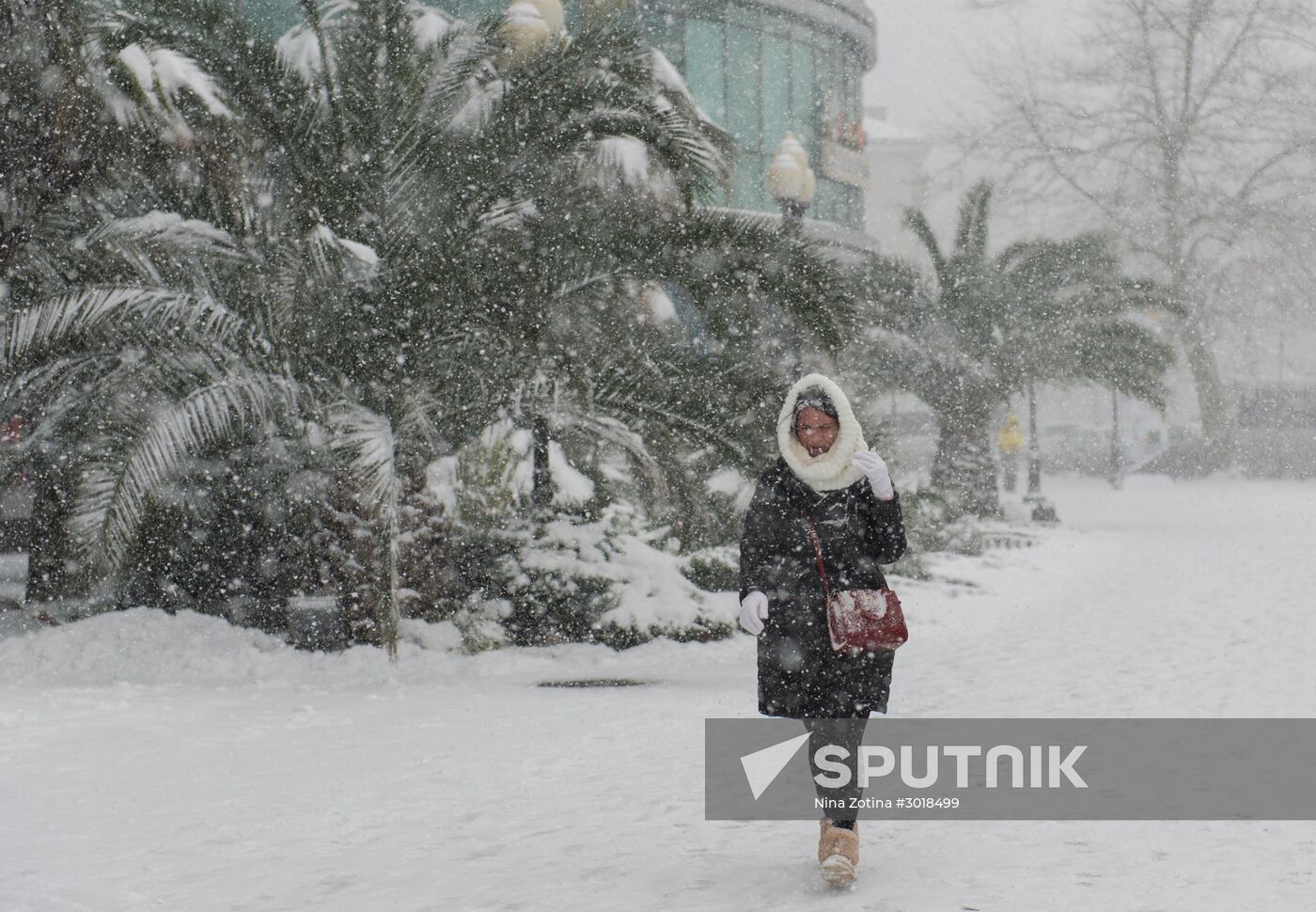 Snowstorm in Sochi