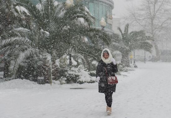 Snowstorm in Sochi