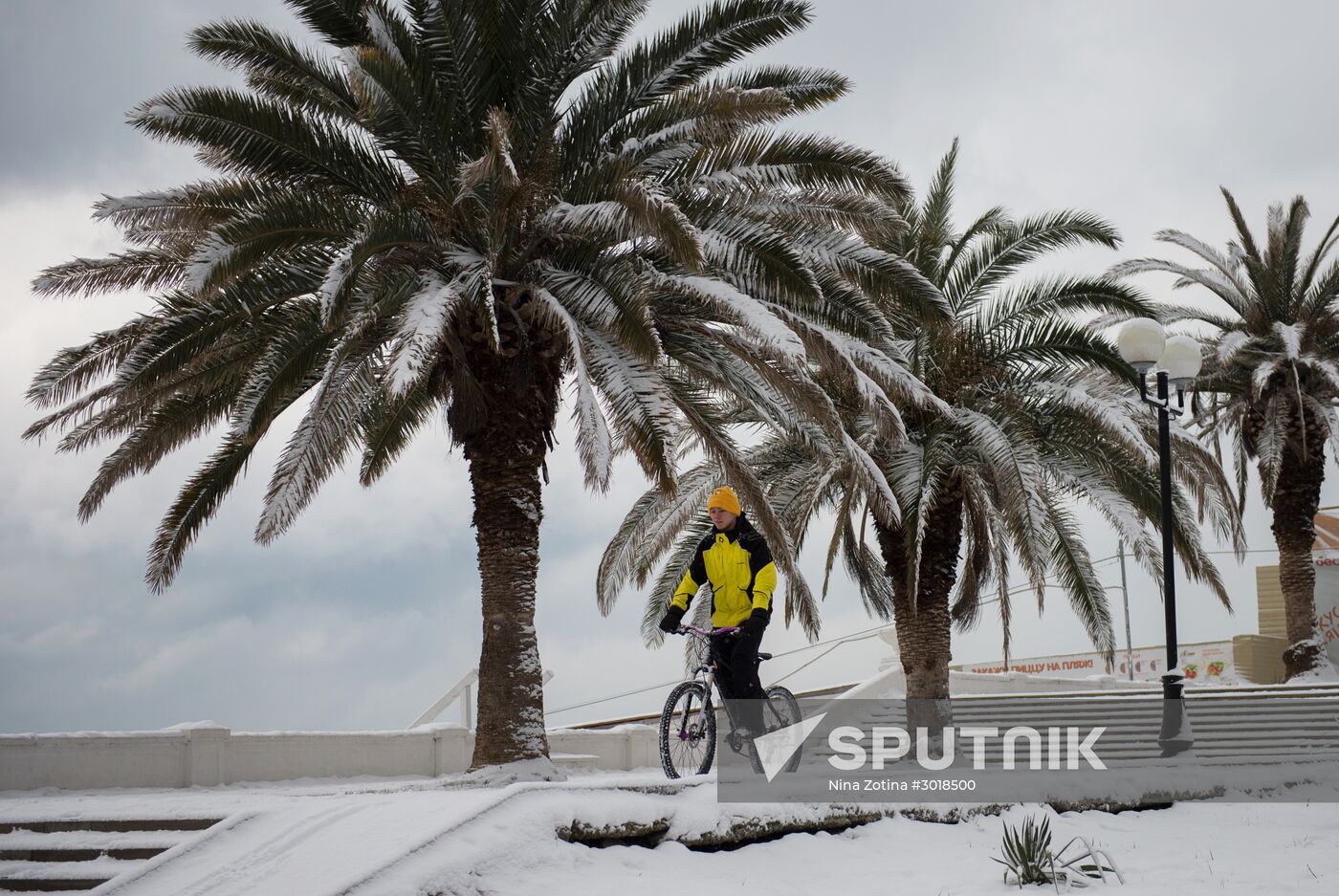 Snowstorm in Sochi