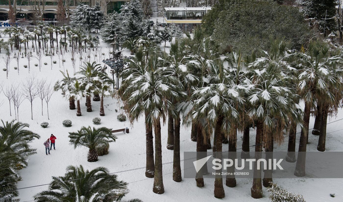 Snowstorm in Sochi