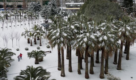 Snowstorm in Sochi
