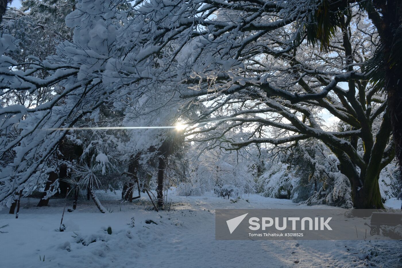 Winter in Abkhazia